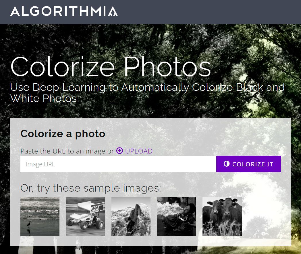 알고리즘 기반으로 온라인에서 옛날 사진에 색상을 추가하는 것이 가능합니다..