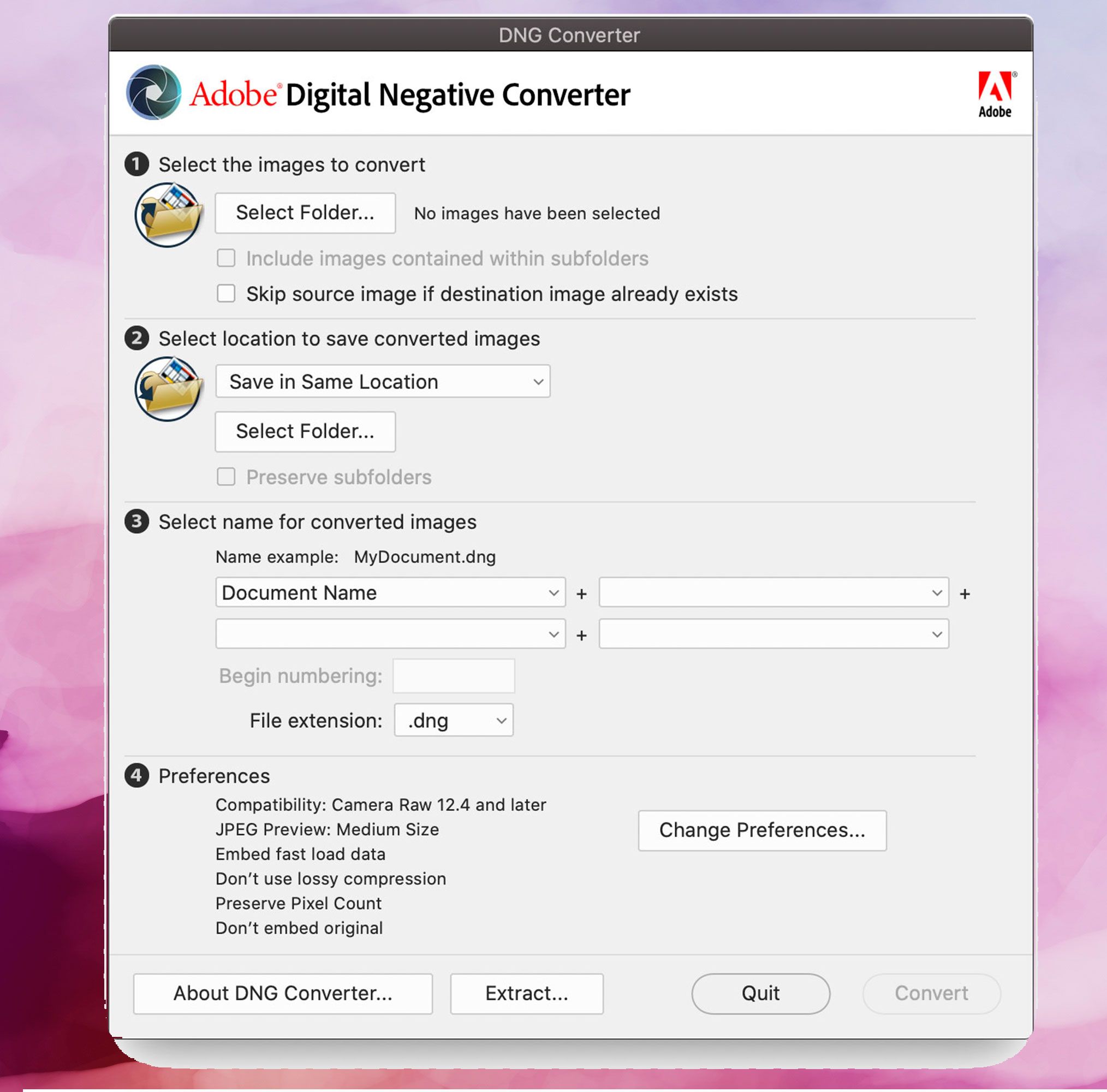 Adobe DNG Converter 스크린샷, DNG 이미지를 JPEG로 변환..