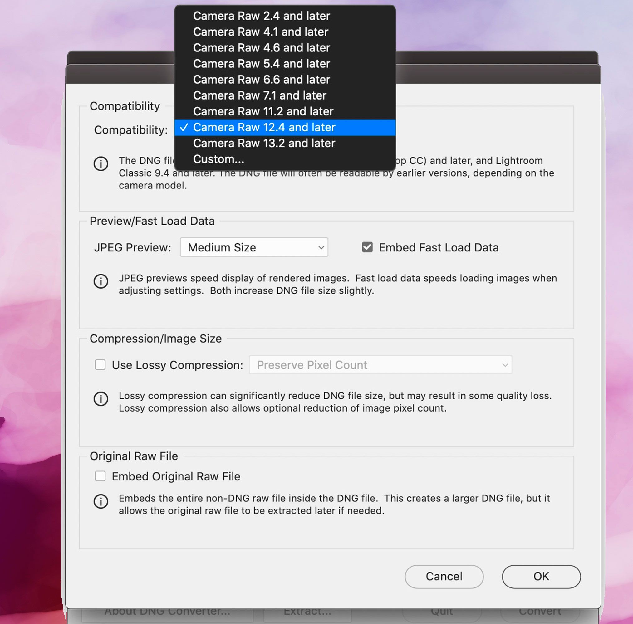 Adobe DNG Converter 스크린샷, 호환성 환경 설정..