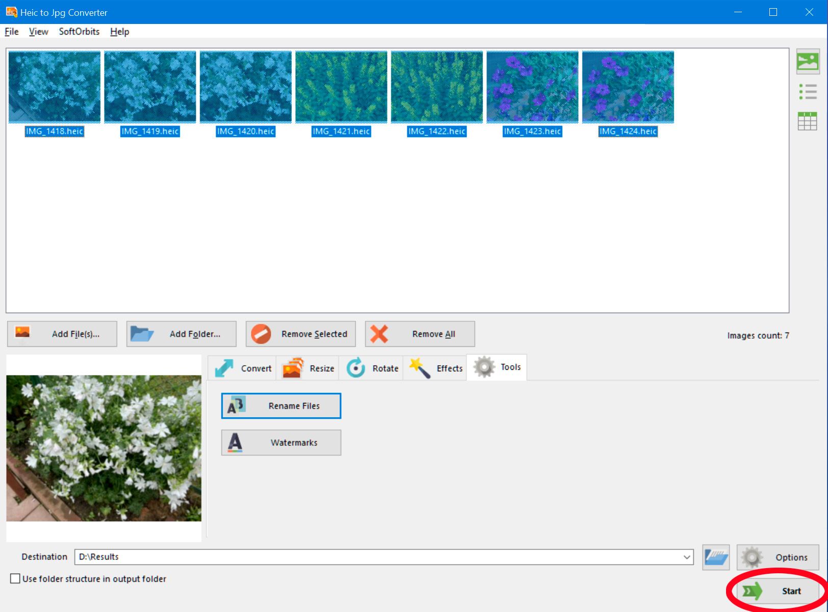 구글 드라이브에서 HEIC를 JPEG로 변환하는 쉬운 방법