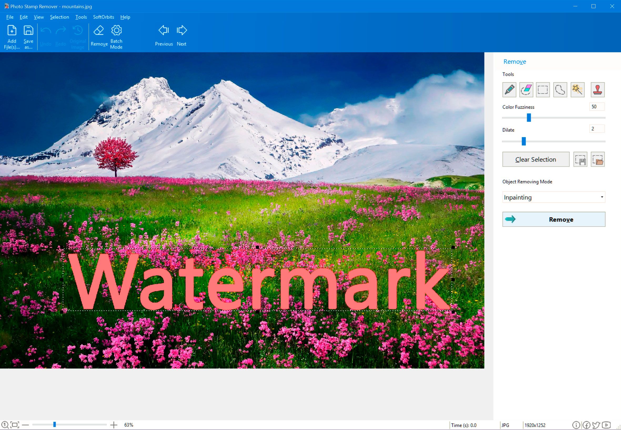 Adobe Stock Watermark 제거를 위한 마커 도구..