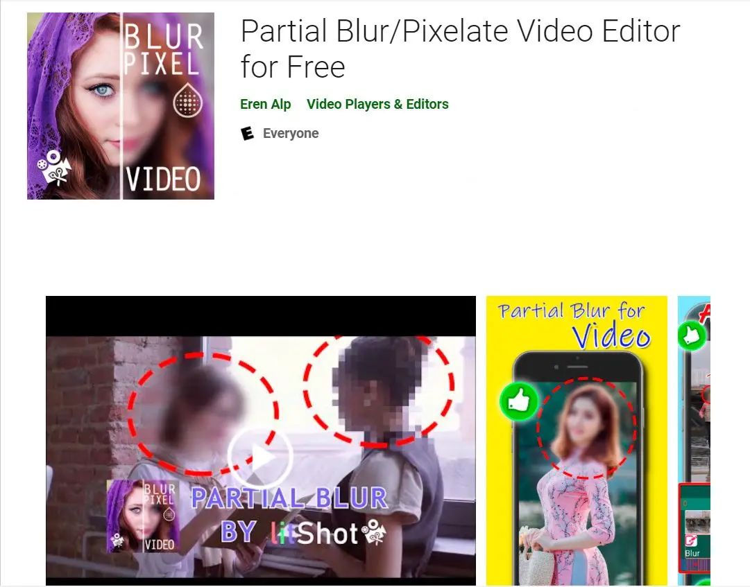 Partial Blur/Pixelate 비디오 편집기..