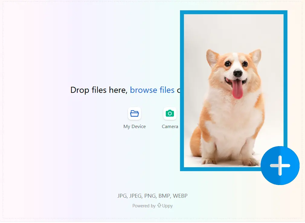 이미지 업로드.