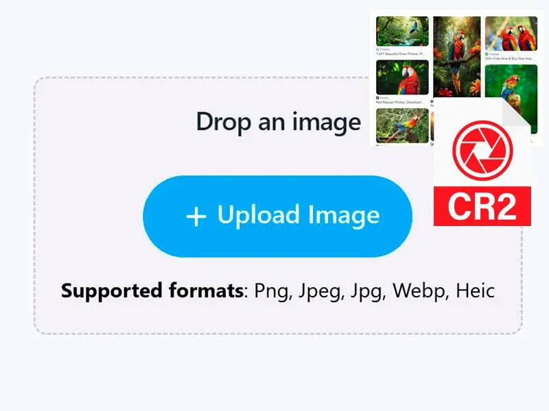 CR2 파일 추가.