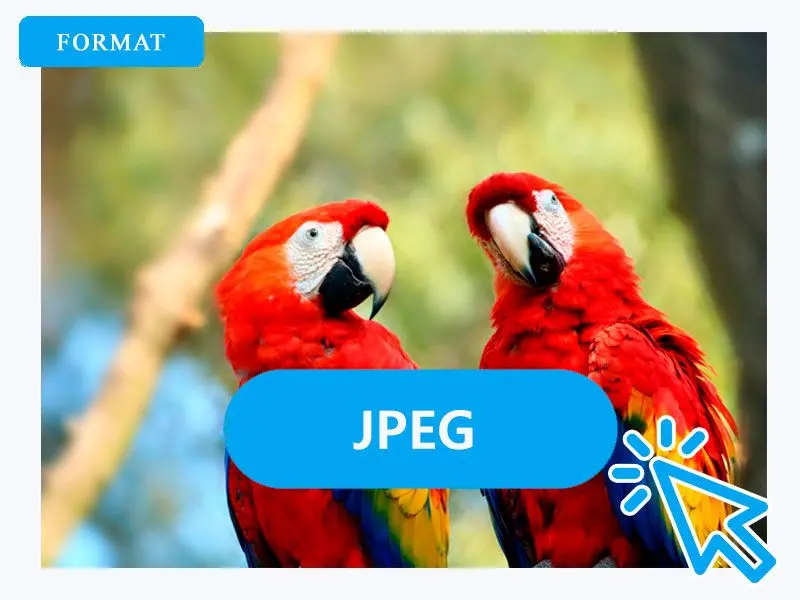 JPG를 출력 형식으로 선택.