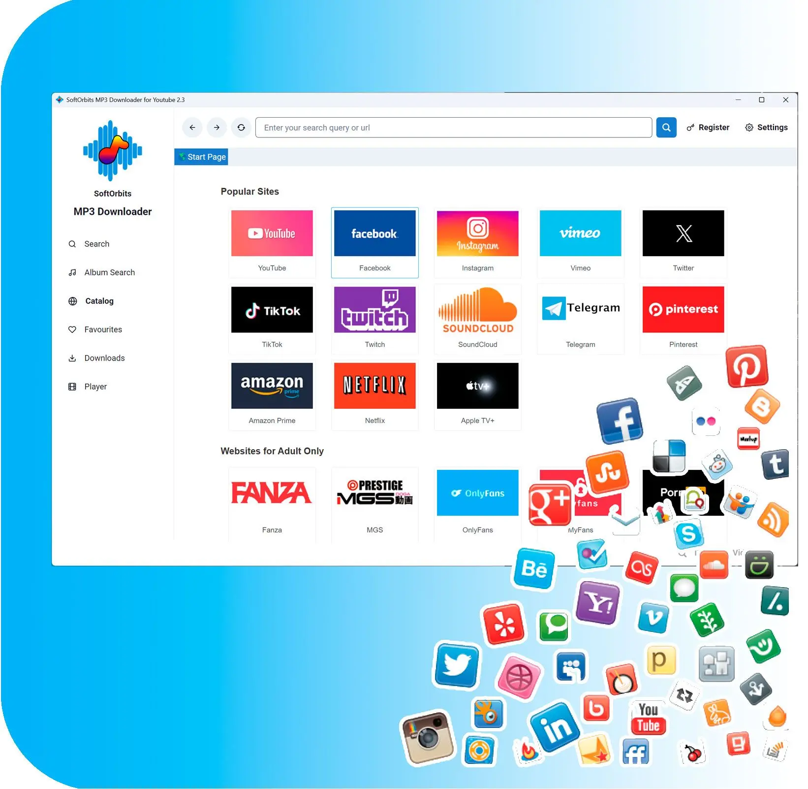 Dailymotion 외.