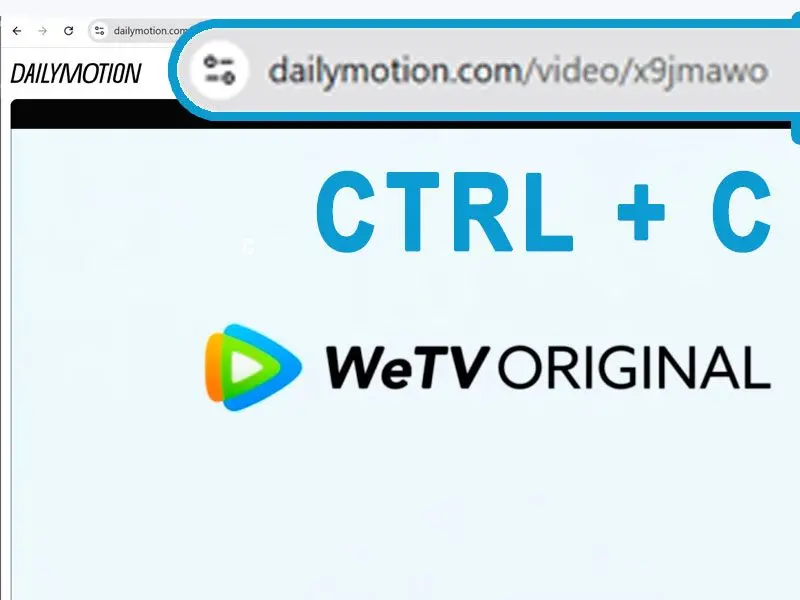 Dailymotion 비디오 URL 복사 및 붙여넣기.