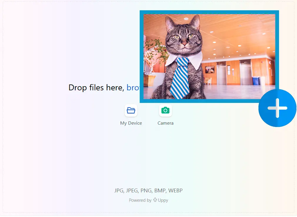 시작 이미지 업로드.