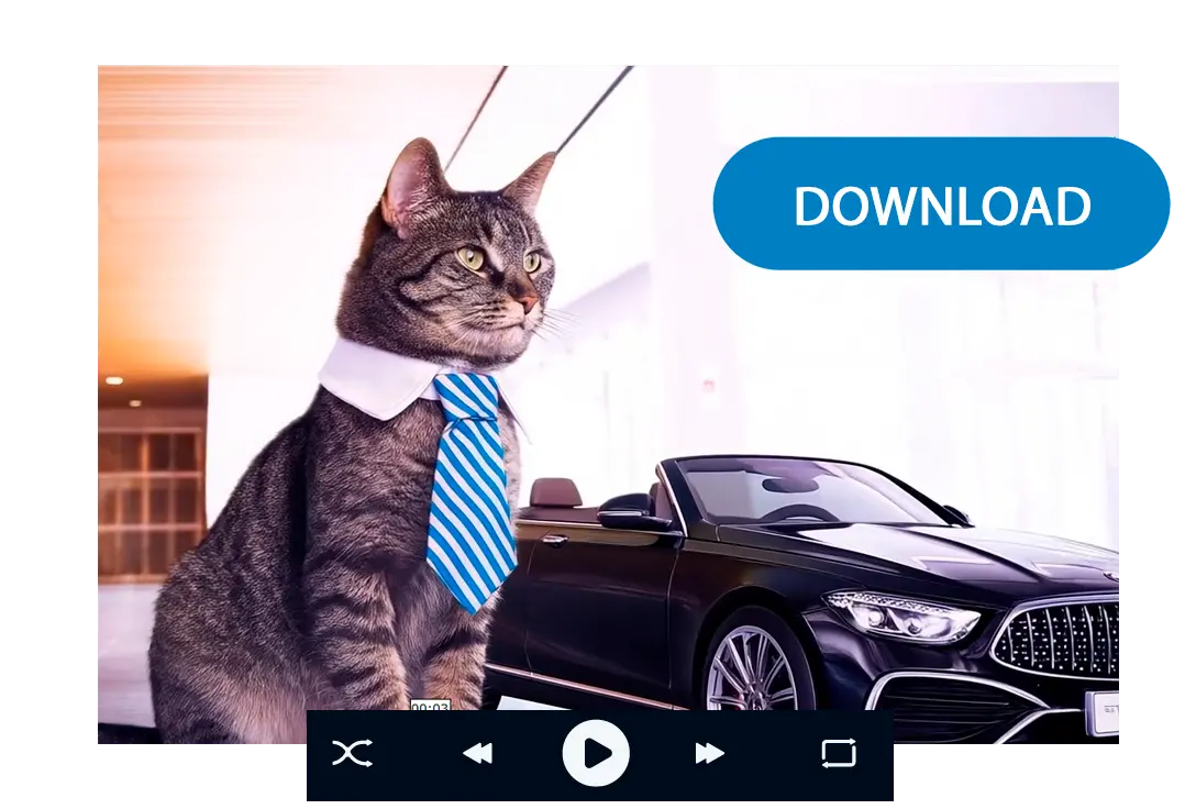 비디오 다운로드.