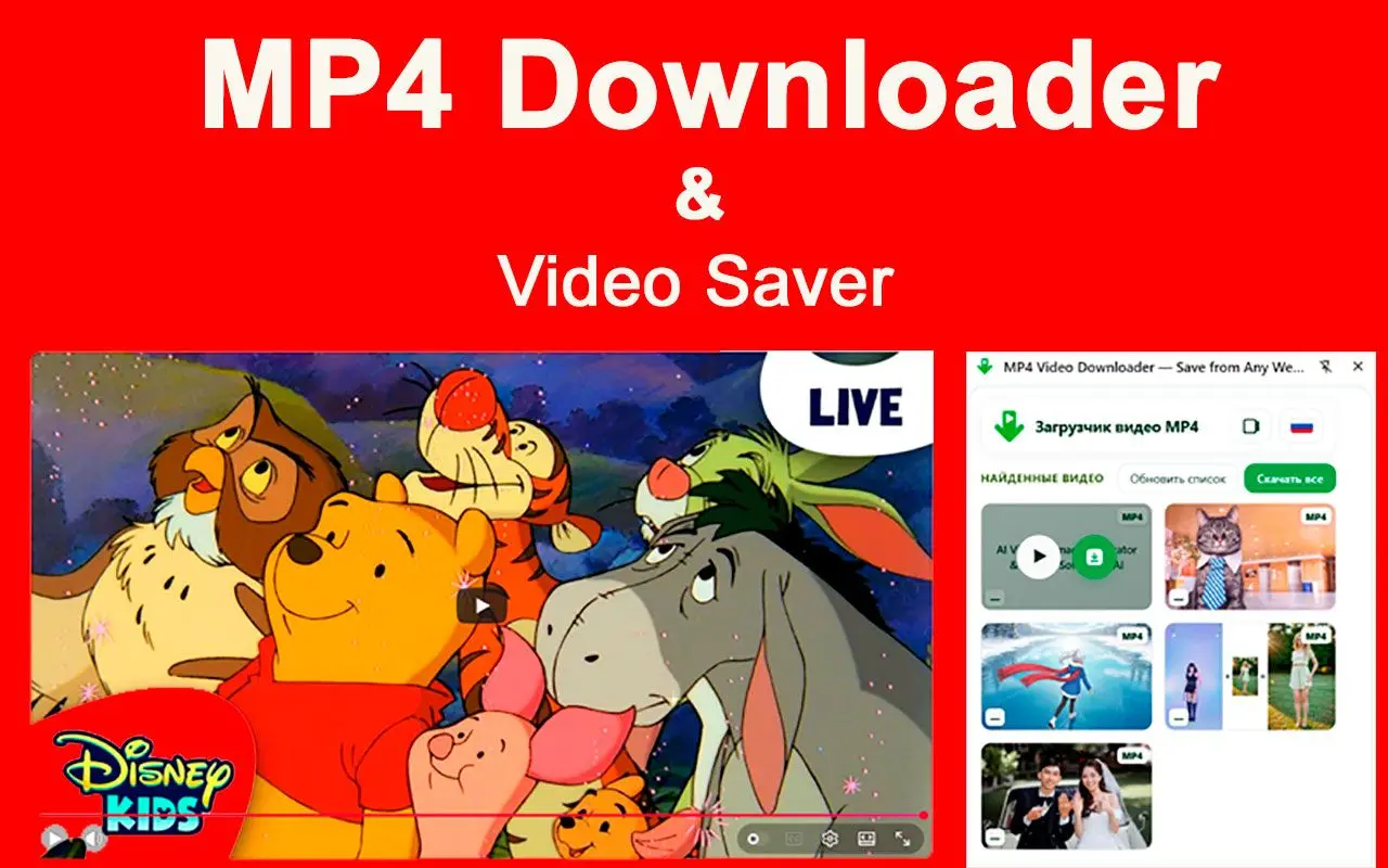 MP4 Downloader & Chrome 확장 프로그램 제한.