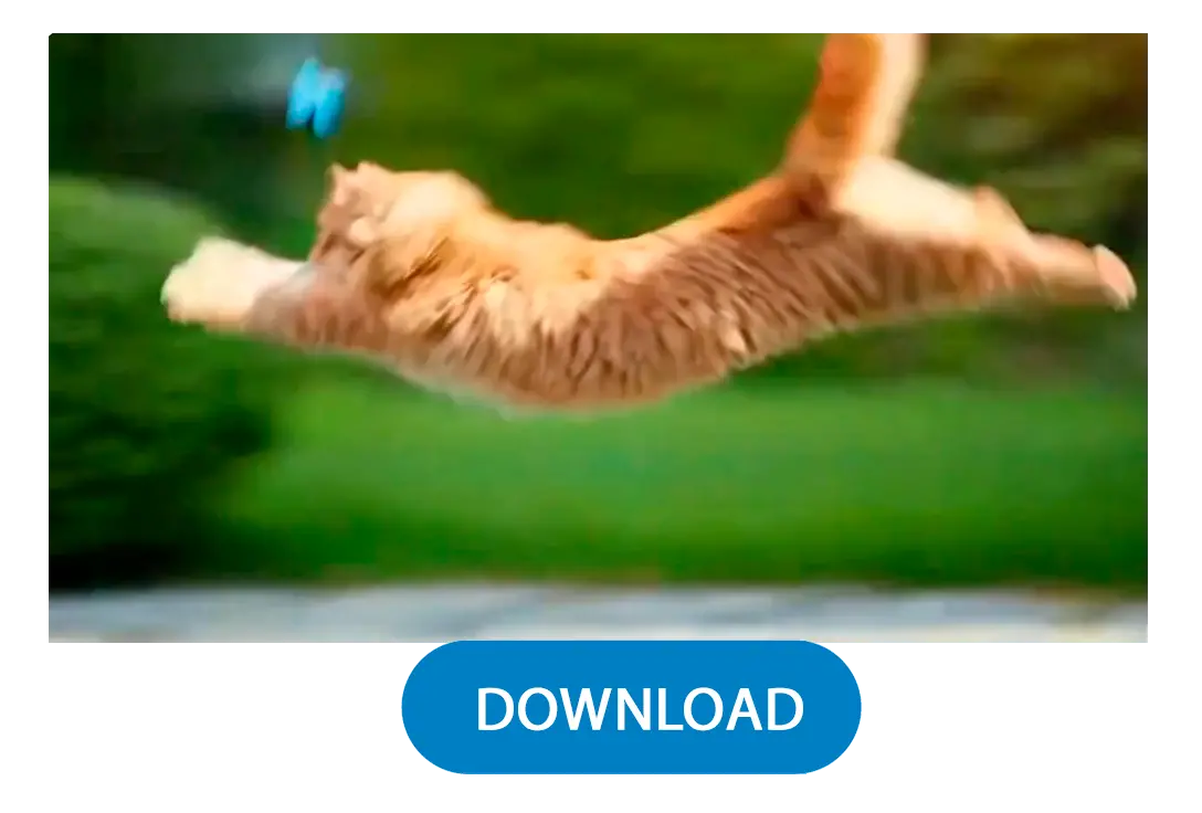 생성 및 다운로드.