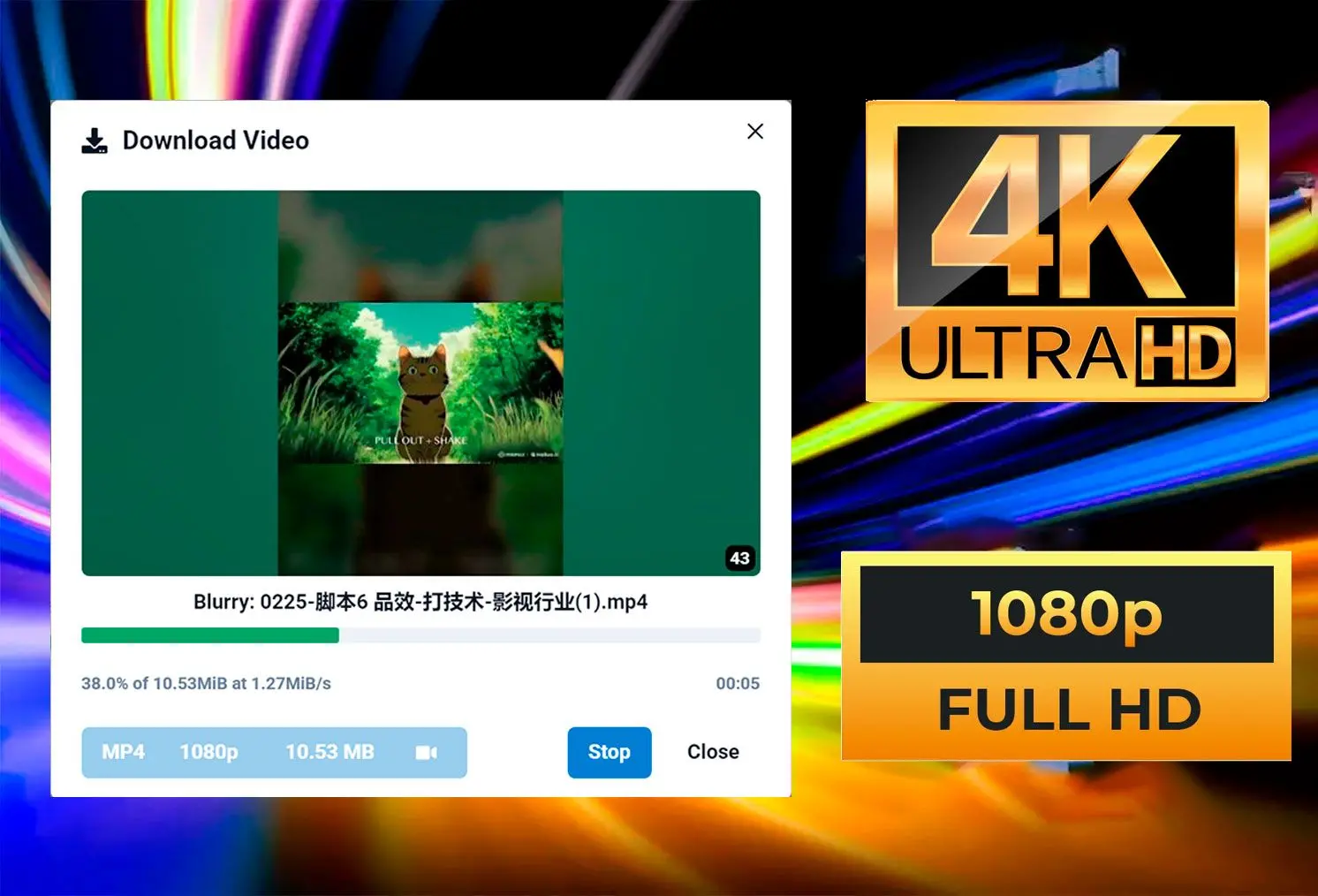 HD 및 4K 화질.